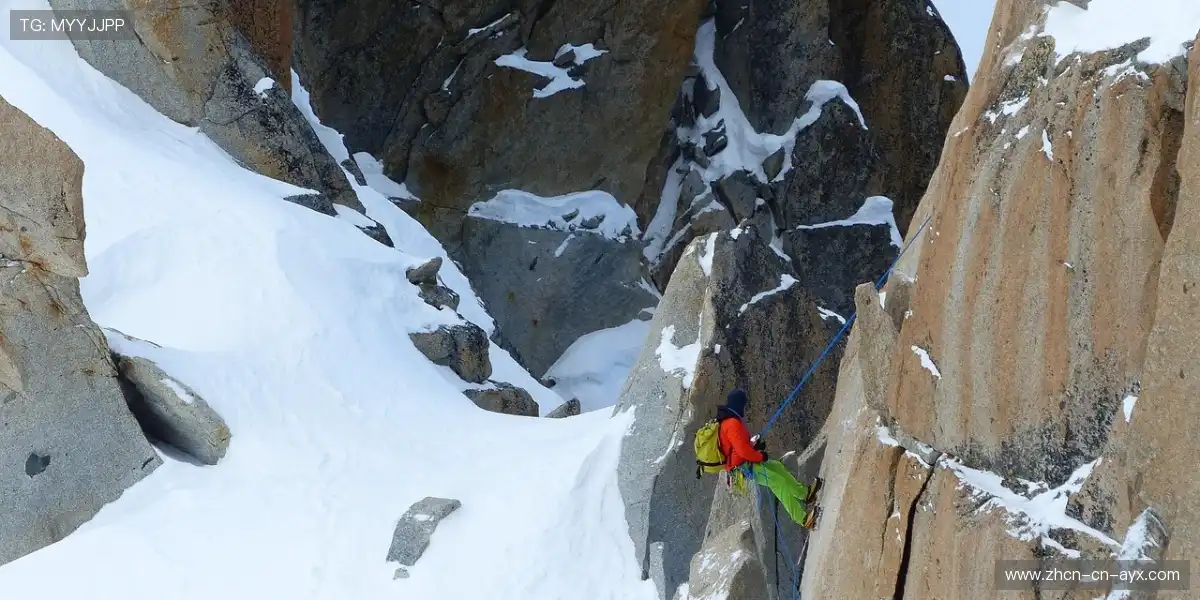 📱赛事切换次元级丝滑，像翻书一样快！⚡